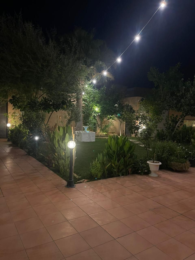 image_2026-01-18_204736109