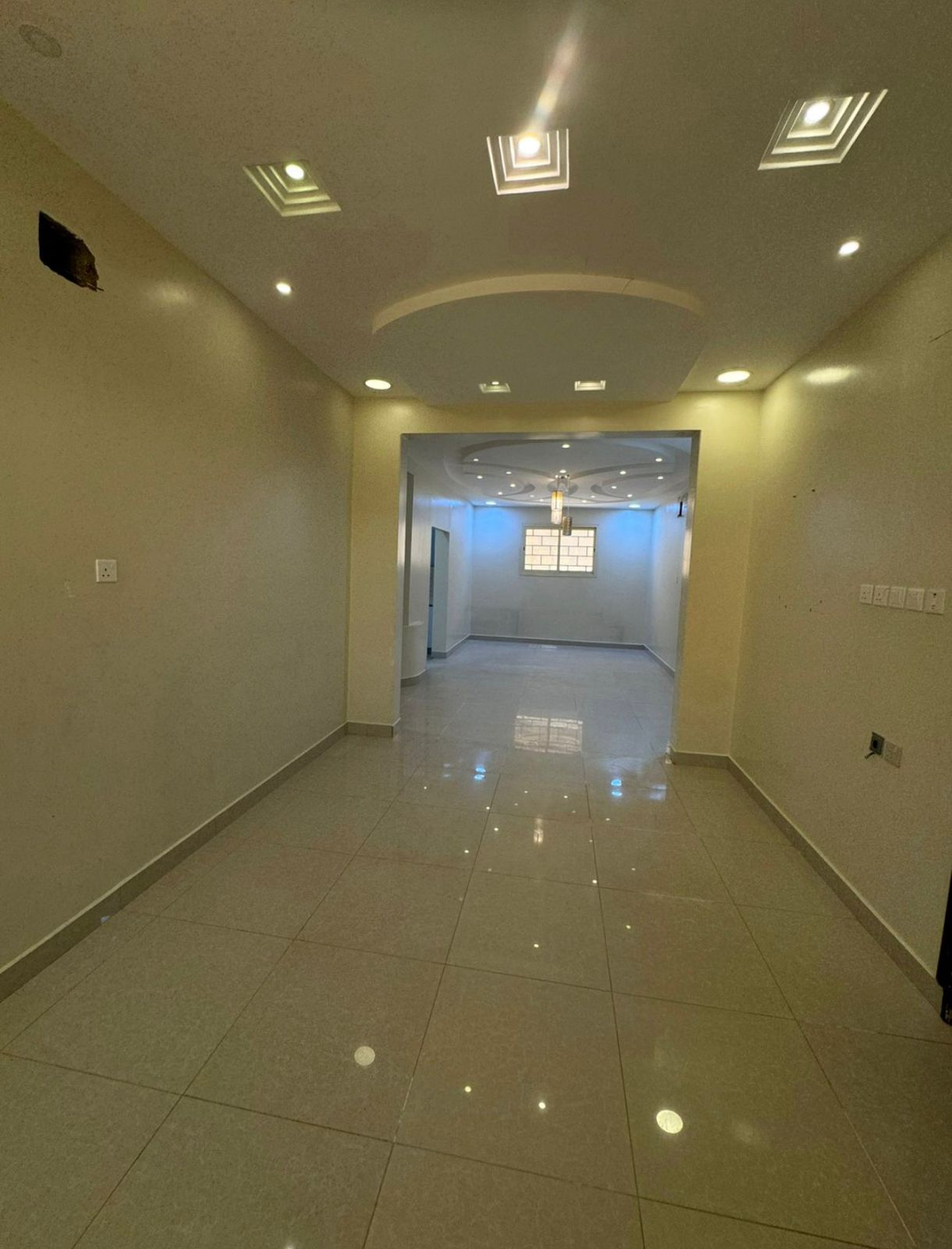 image_2026-03-15_003738079